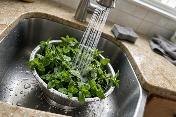 Step 1 — Mint Margarita
